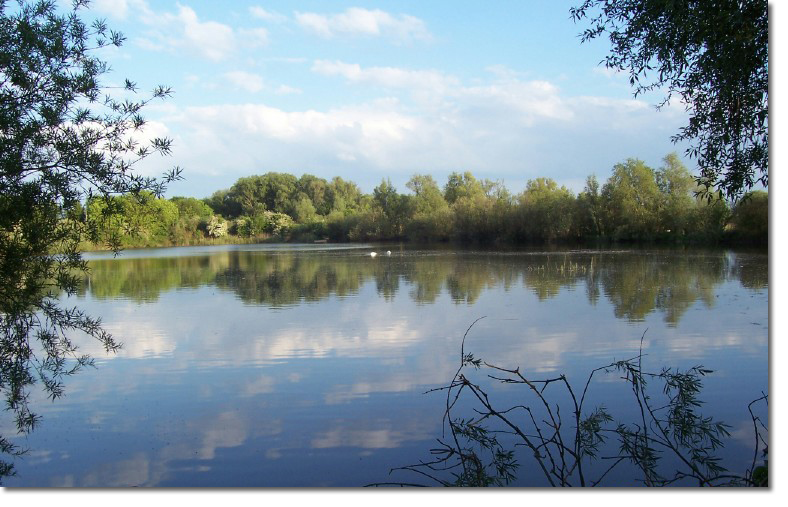 coot_lake