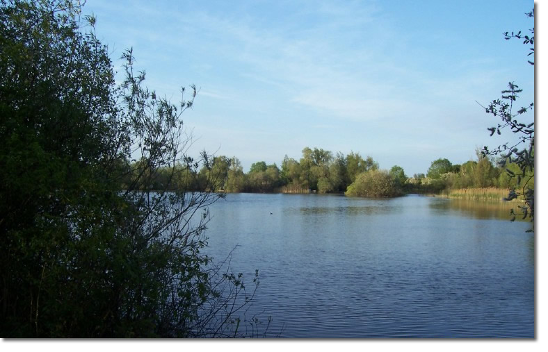 willow_lake