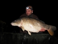 Vic-Common-29.5