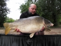 Vic-Common-33.13
