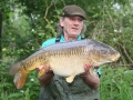 Paul - 20lb - Linear